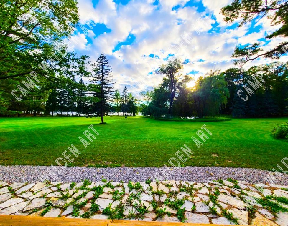 The Meadow