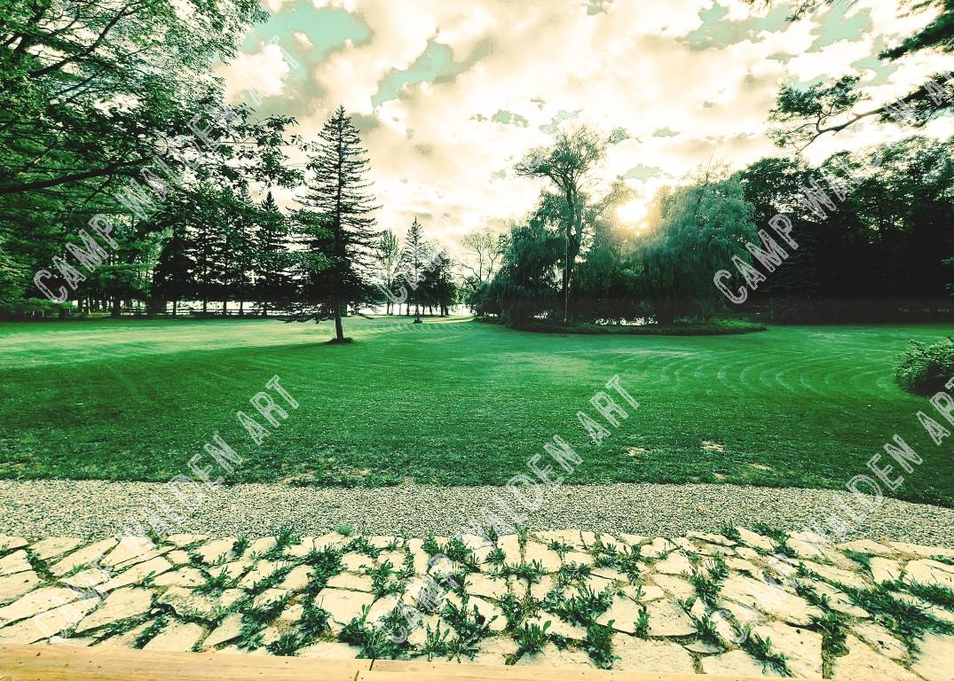 The Meadow